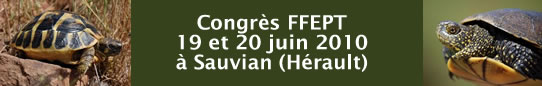 Congr�s FFEPT 2010