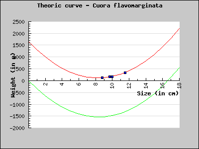Th�oric chart